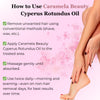 Cyperus Rotundus Oil for Hair Reduction(1-Bottle)
